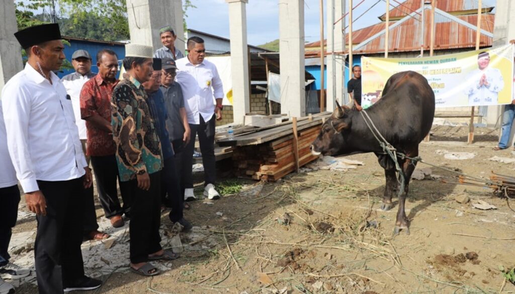 Sumbangan kurban dari Paulua Waterpauw diwakili Para peguyuban nusantara bersama para pendeta dan relawan Sumbangan kurban dari Paulua Waterpauw diwakili Para peguyuban nusantara bersama para pendeta dan relawan