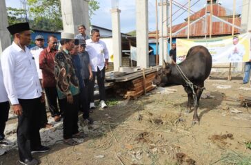 Sumbangan kurban dari Paulua Waterpauw diwakili Para peguyuban nusantara bersama para pendeta dan relawan