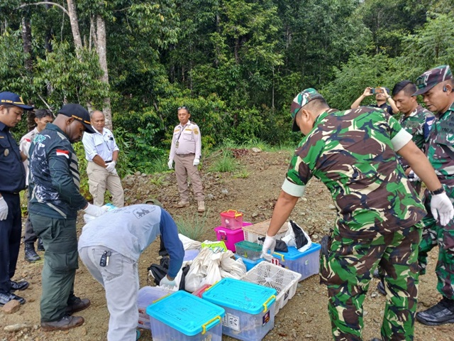 Puluhan satwa yang dilepasliarkan BBKSDA Papua