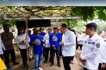 Wamen kunjungi kampung Reforma Agraria di Palu